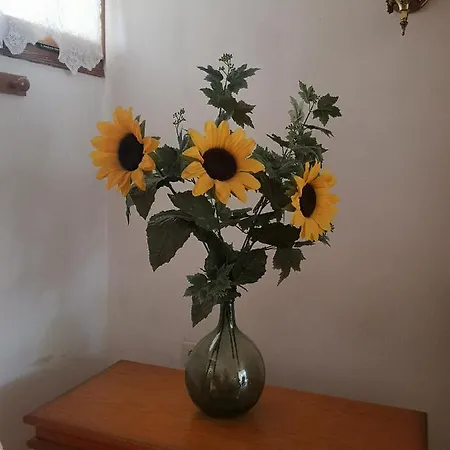 Casa Dolors Holiday home